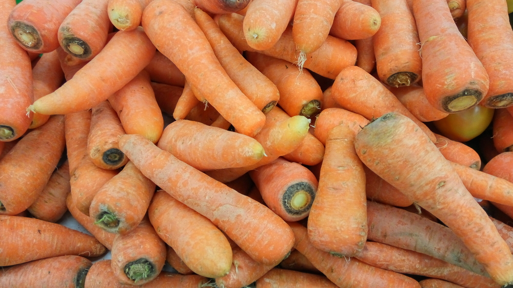 Lots of Carrots