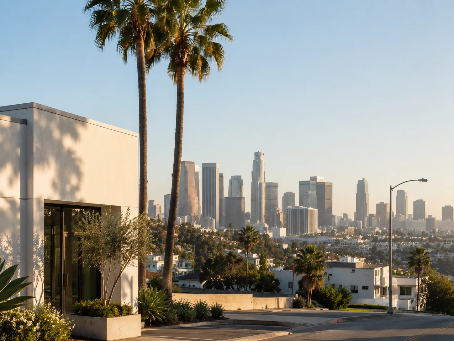 Palm-lined streets of the greater Los Angeles area served by Berg-Feinfield Vision Correction
